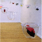 Floating Object, Plastic container, thread,2011-2009